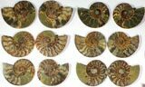 Lot: to Cut/Polished Ammonite Fossil - Pairs #117036-1